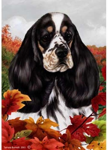 cocker spaniel tricolor