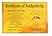 TITANIC COAL CENTENNIAL PRESENTATION BOX