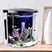 FREESEA 1.4 Gallon Half Moon Small Betta Aquarium Fish Tank with LED Light and Filter Pumpthumb 3