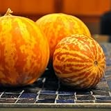 Tigger Melon (Tiger Melon) Seeds â–º Rare Organic Heirloom Tigger Melon Seeds (10+ seeds) â—„ by PowerGrow Systems