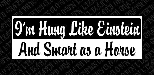 I'm Hung Like Einstein and Smart as a Horse Window/Bumper Sticker 3 x 9