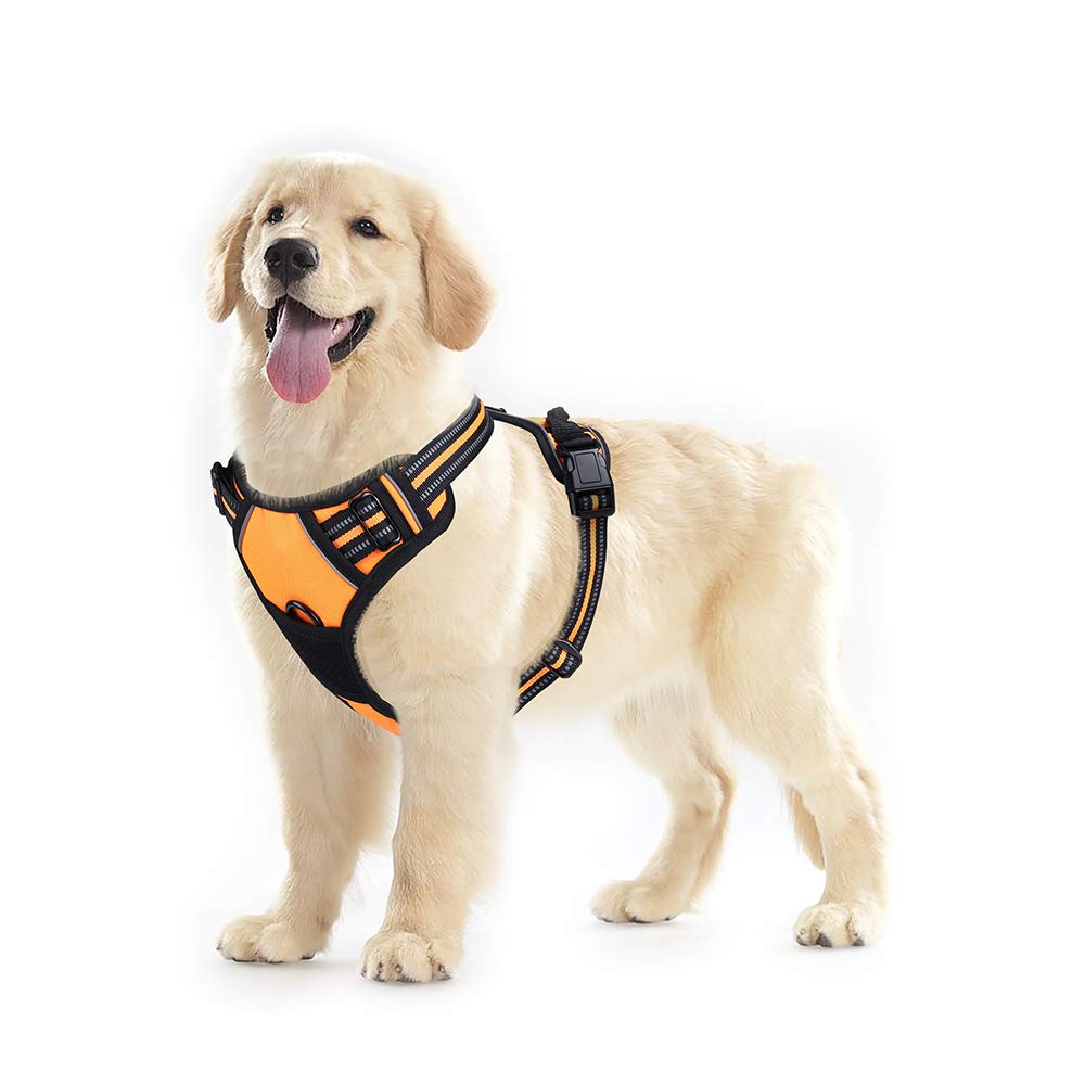 Rabbitgoo No Pull Dog Harness Medium, Front Loading Pet Vest Harness