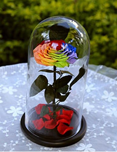 Handmade Preserved Rose Never Withered Roses Flower in Glass Dome, Gift for Valentine's Day Anniversary Birthday (Rainbow)