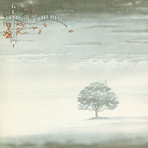 Amazon.com: Genesis: CDs & Vinyl
