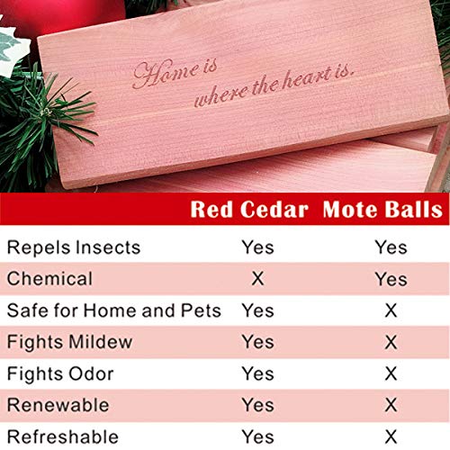 Cedar Space Cedar Hang Ups - Cedar Blocks for Closet Storage, 100% Nature Aromatic Red Cederwood Home Decor (Cedar Hang ups 11pcs)