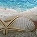 ABxinyoule Beach Starfish Shower Curtain Seashell Polyester Fabric Ocean Blue Sky Sunshine Bathroom Decal