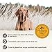 Wellness CORE+ (Formerly RawRev) Natural Grain Free Dry Dog Food, Wild Game Duck, Wild Boar & Rabbit with Freeze Dried Lamb, 10-Pound Bag