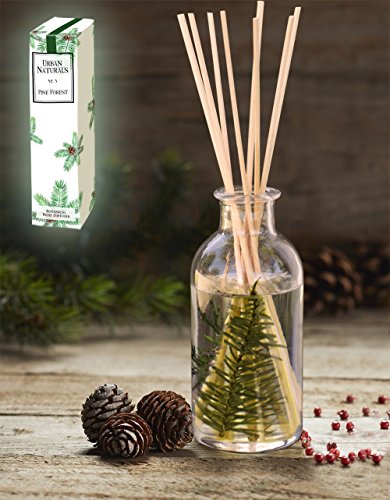 Pine Tree Oil Reed Holiday Diffuser by Urban Naturals | Pine Forest No. 3 | Pine Needles, Eucalyptus, Juniper Berries & Balsam Fragrance Notes | Year Round Christmas Tree Scent! Made in the USA