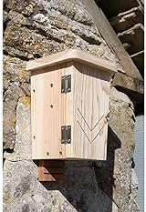 Wildlife World Original Bat Box OBB Two Chamber FSC Timber Garden Woodland Wall view 4