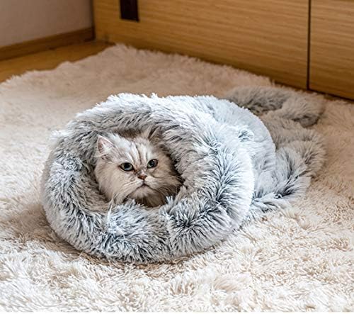 persian cat bed