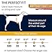 RUFFWEAR - Front Range Dog Harness, Reflective and Padded Harness for Training and Everyday, Twilight Gray (2017), Large/X-Large