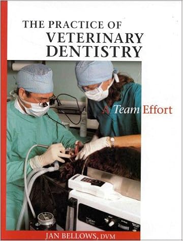 The Practice of Veterinary Dentistry: A Team Effort The Practice of Veterinary Dentistry: A Team Effort