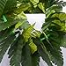 Fortuning's JDS Hawaiian Artificial Leaves Garland Necklace Headband Wristband Party Decorations (4Pcs)