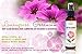 Natural Air Freshener Spray—Geranium & Lemongrass Odor Eliminator—Non-Toxic Essential Oil Deodorizer Spray for Home,Toilet,Room,Lounge,Laundry,Cabinet,Fabric;Safe for Kids & Pets—1 PK- 4 Oz