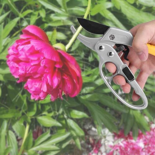 🦄 Euone 🦄Gardening shears Clearance Sale , High Carbon Steel Gardening Plant Scissor Bypass Pruning Pruner Cutter