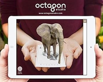 Animal 4D+ Flashcards Bundle