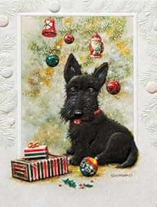 Amazon.com: Scottish Terrier Boxed Christmas Cards: Health &amp; Personal Care