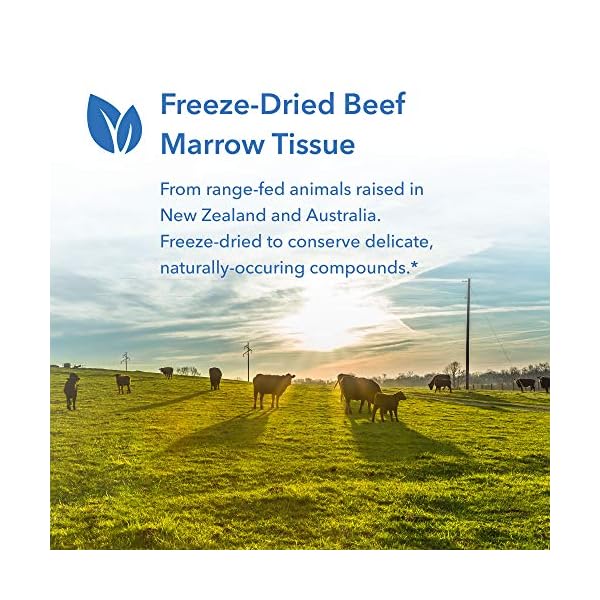 Allergy Research Group Bone Marrow Beef Immune Support 100