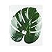 Super Z Outlet Tropical Imitation Green Plant Paper Leaves Hawaiian Luau Party Jungle Beach Theme Decorations for Birthdays, Arts & Crafts, Prom, Events, Weddings (13 Inch)