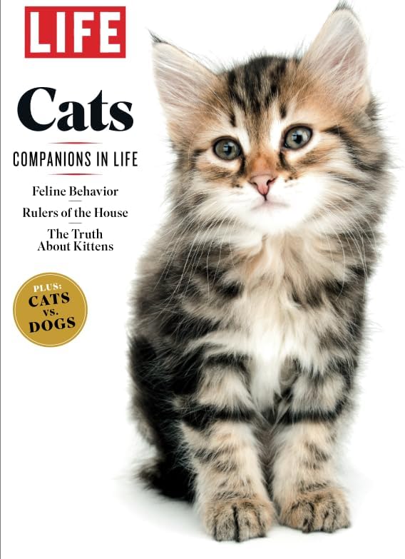 Life Cats Magazine 2022 Edition: Amazon.com: Books