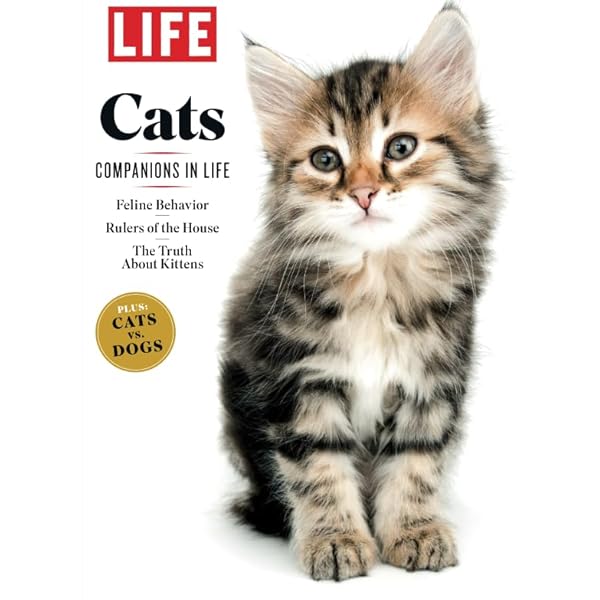 洋書  CATS life Life Cats Magazine 2022 Edition: Amazon.com: Books