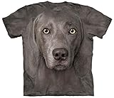 Mountain Weimaraner Adult Size T-shirt , Gray , Small