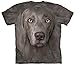 Mountain Weimaraner Adult Size T-shirt , Gray , Small