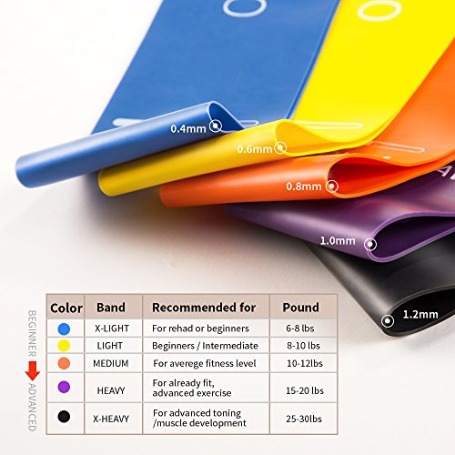 Kamileo Resistance Bands, Exercise Bands for Legs Butt Workout at Home or Gym, Set of 5 (with eBook, Poster, Workout Log & Carry Bag)