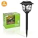 hosus Solar Pathway Lights Outdoor OR Solar Lights Outdoor OR Solar Garden Lights OR Solar Landscape Lights or Solar Lights for Yard/Patio/Garden/Walkway/Driveway (6)