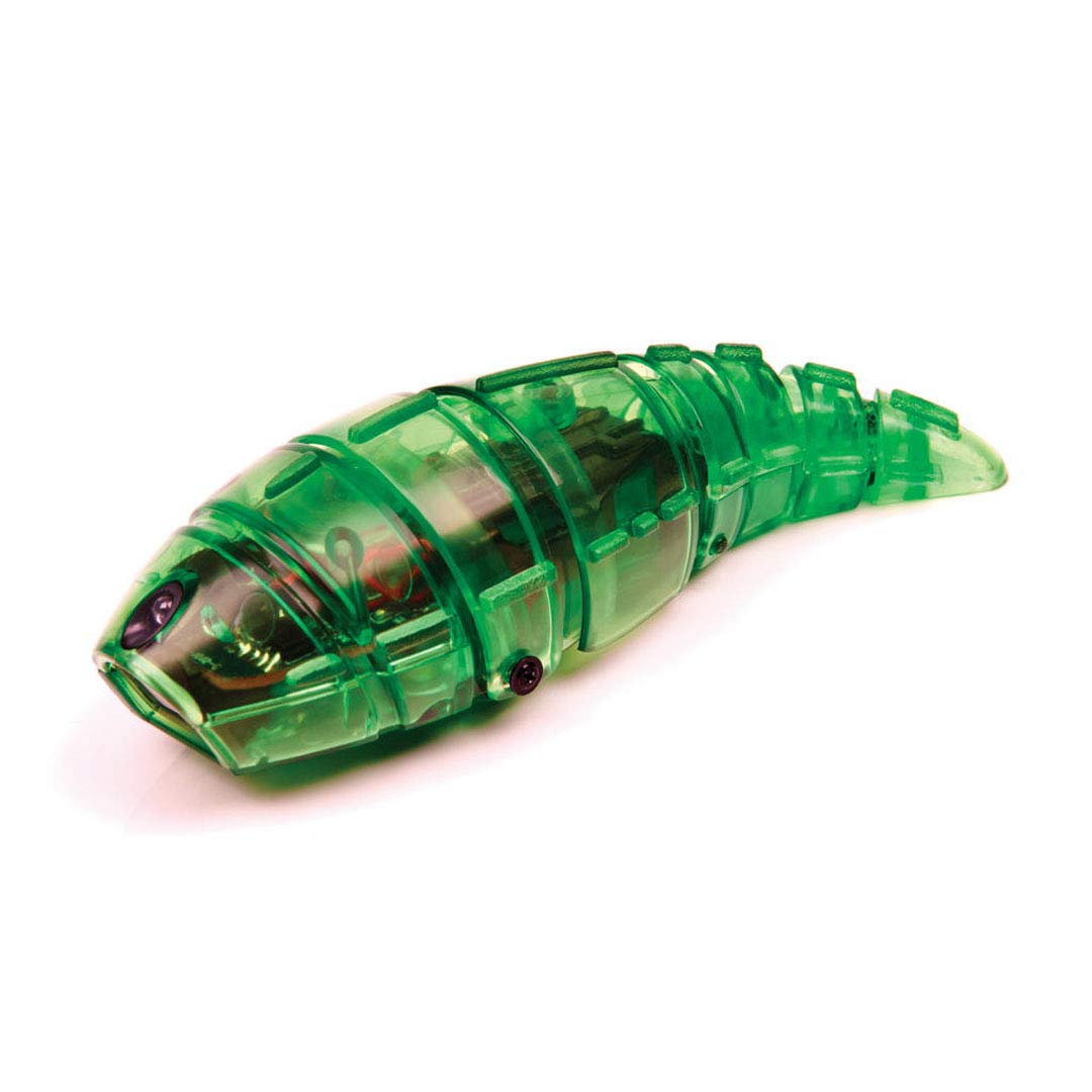 hexbug larva