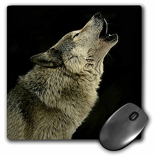 3drose llc 8 x 8 x 0.25 inches mouse pad, timber wolf (…