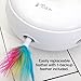 PetFusion Ambush Interactive Cat Toys for Indoor/Outdoor Activity - New & Improved Cat Feather Toys Replacement Feathers Available 12 Month Warranty