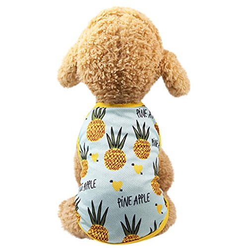 NEARTIME Puppy Clothes, Small Dog Cat Pet Dress Fly Sleeve Dress for Pet (M, B-Light Blue)