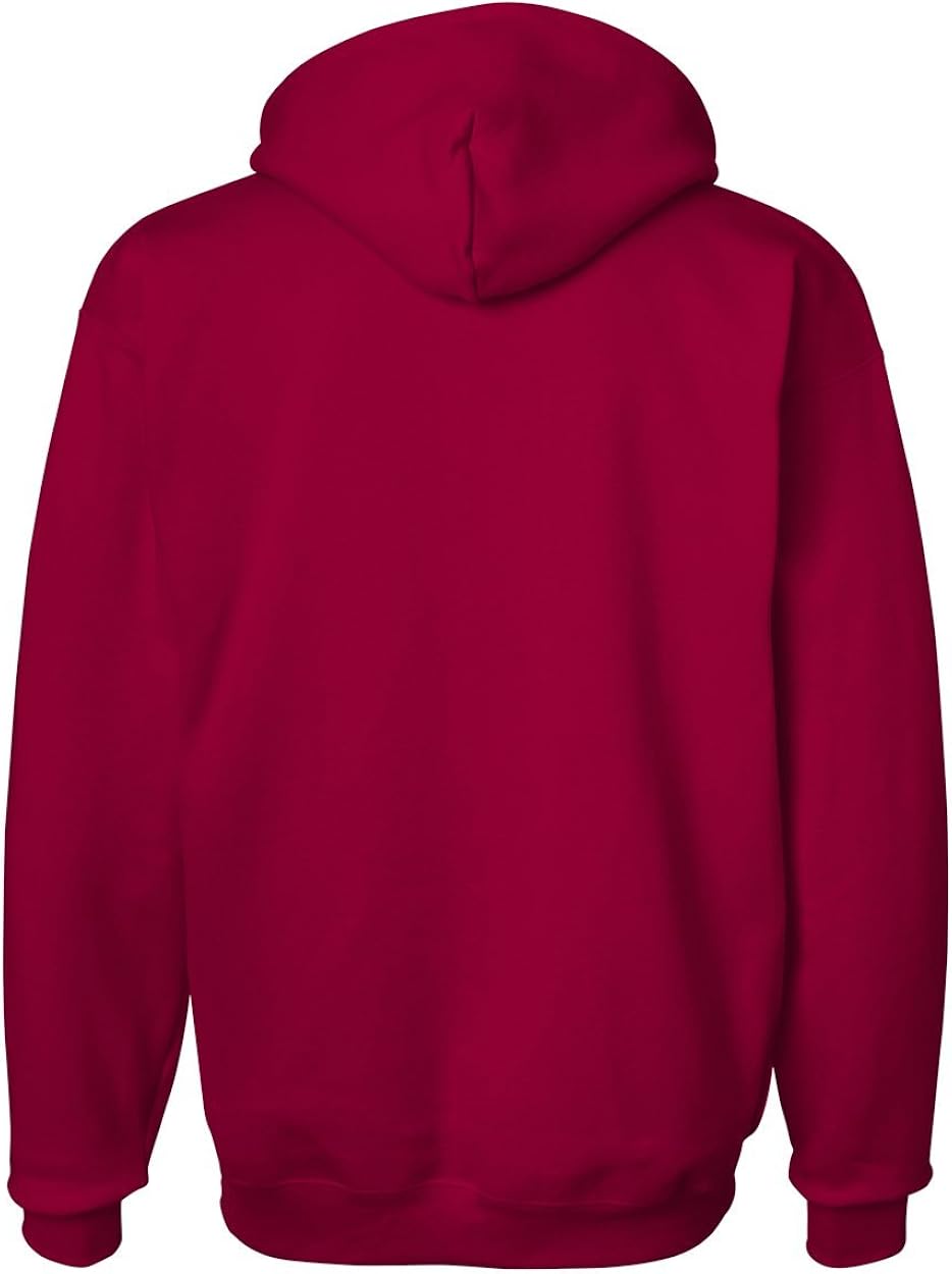hanes men's pullover hoodie