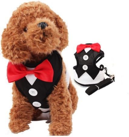 Petty Love House Adorable Comfort Lead Leash Tuxedos Costume Bow Tie Design Pet Safety Walking Vest Harness (L)
