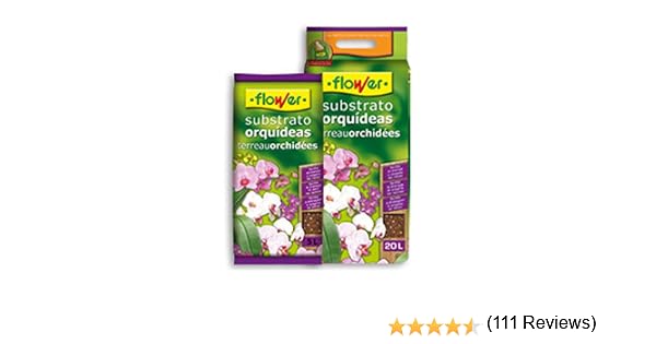 Flower 80017 Substrato Orquídeas 5L, Marrón, 24x4.5x39 cm: Amazon ...