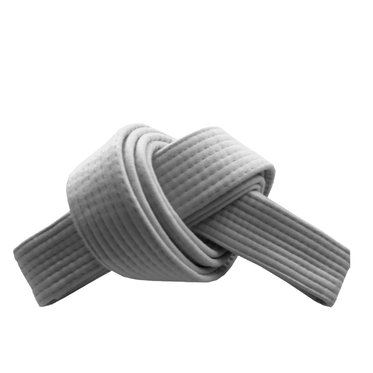 RingMaster Sports Grading Belts 9 Plain Colour for Karte Judo Taekwondo Martial Arts Training Competition | 230cm, 250cm, 280cm, 320cm (White, 250 cm)