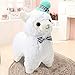 Alpacasso 14