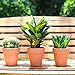 YXMYH 6 Pcs Large Terracotta Pot Clay Pots 5'' Clay Ceramic Pottery Planter Cactus Flower Pots Succulent Pot Drainage Hole- for Indoor/Outdoor Plant Crafts