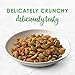 Purina Fancy Feast Dry Cat Food with Ocean Fish and Salmon - 7 lb. Bag