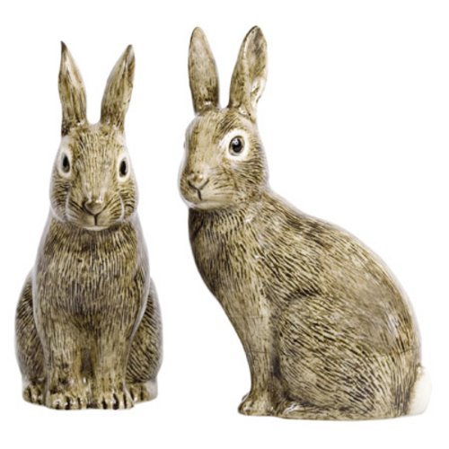 Quail Ceramics - Wild Rabbit Salt and Pepper