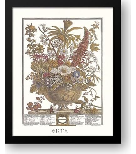 Amazon.com: Twelve Months of Flowers, 1730/September 14x16 Framed