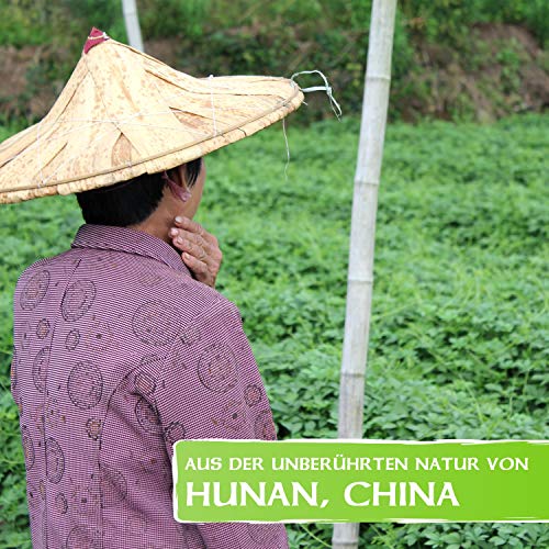 Jiaogulan - das Original seit 2006 - aus kontrolliertem Wildwuchs Anbau in den Bergen von Hunan - Premium Tausendkraut Qualität - Labor geprüft - 100g – Bild 5
