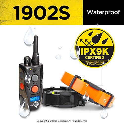 Dogtra 1902S Remote 2 Dog Training Collar System & Hunting Bumpers-img-5