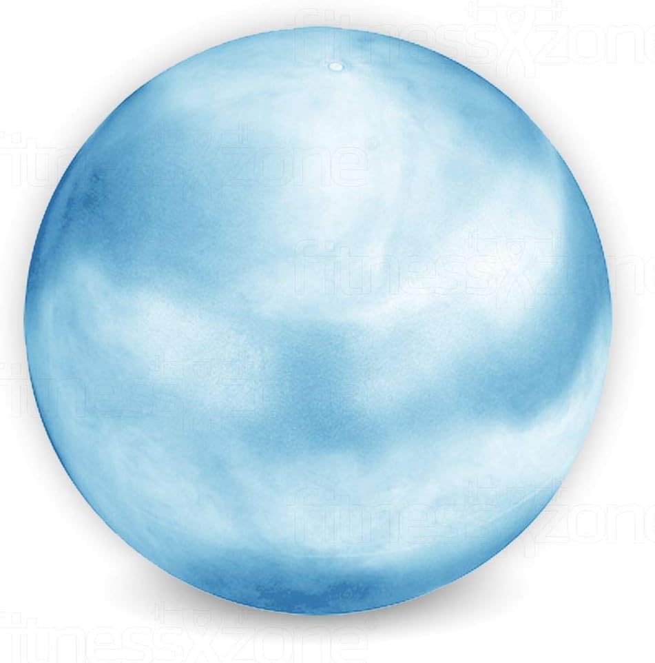 fitnessXzone Exercise Gym Yoga Swiss Ball Fitness Pregnancy Birthing Anti Burst Balls 65cm