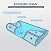 Anvo Memory Foam Pillow, Neck Contour Cervical Orthopedic Pillow for Sleeping Side Back Stomach Sleeper, Ergonomic Bed Pillow for Neck Pain - Blue White, Soft