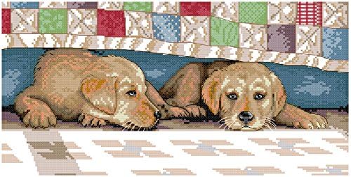 Crossdecor Stamped Cross Stitch with Pre-printed Pattern 11 Count Easy Kits, We're Having A Break