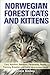 Norwegian Forest Cats and Kittens Care, Nutrition, Behavior, Personality, Health, Training, Breeders by Carol Smiley