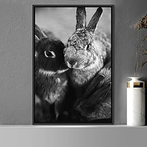 signwin Framed Canvas Wall Art Duotone Bunny Animals...