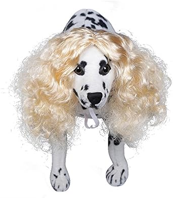 Amazon Com Preeyawadee Funny Long Curly Hair Pet Dog Wig For